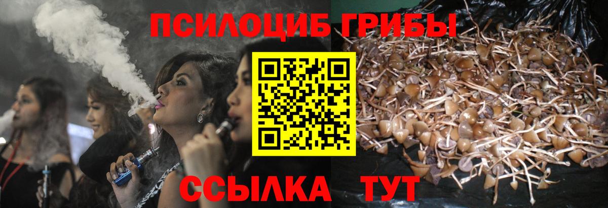 Псилоцибиновые грибы мицелий Красногорск